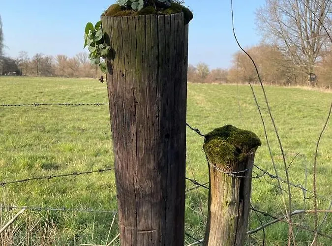 Attraktive 2 In Toplage, Naehe Messe *