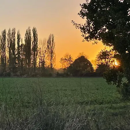 Appartamento Attraktive 2 In Toplage, Naehe Messe *