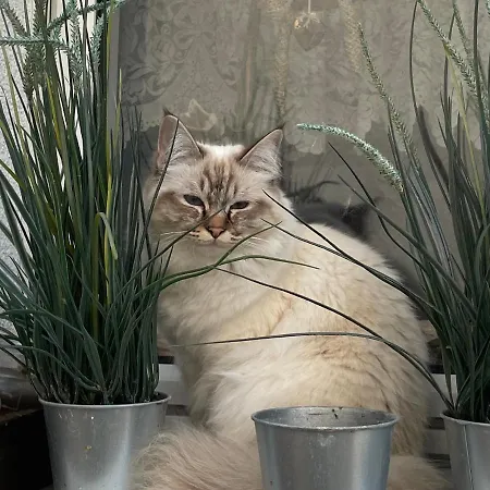 Attraktive 2 In Toplage, Naehe Messe Apartamento