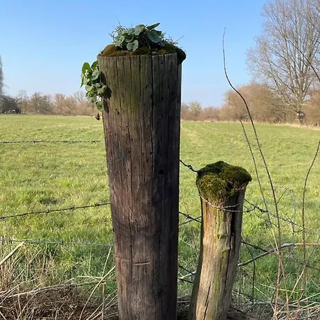 Attraktive 2 In Toplage, Naehe Messe *